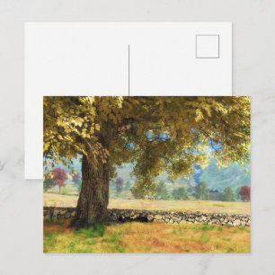 Phantastes: Under the Beech Tree Postcard