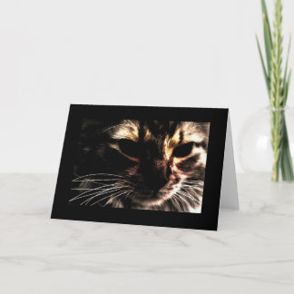 Phantom Cat With Border Card