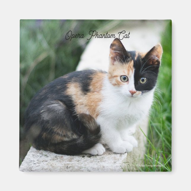 Phantom Opera Cat Magnet (Front)