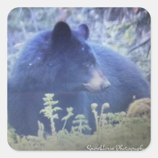 Phantom The Black Bear Square Sticker (Front)