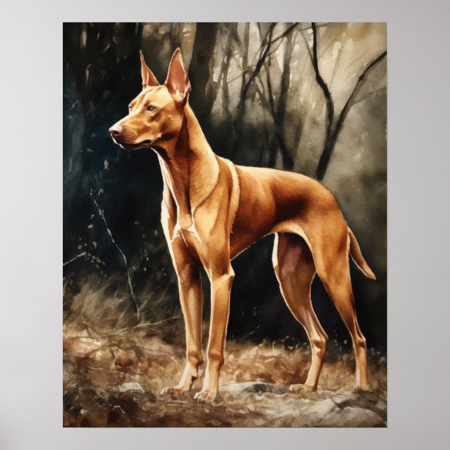 Pharaoh Dog Art Print Poster (Front)