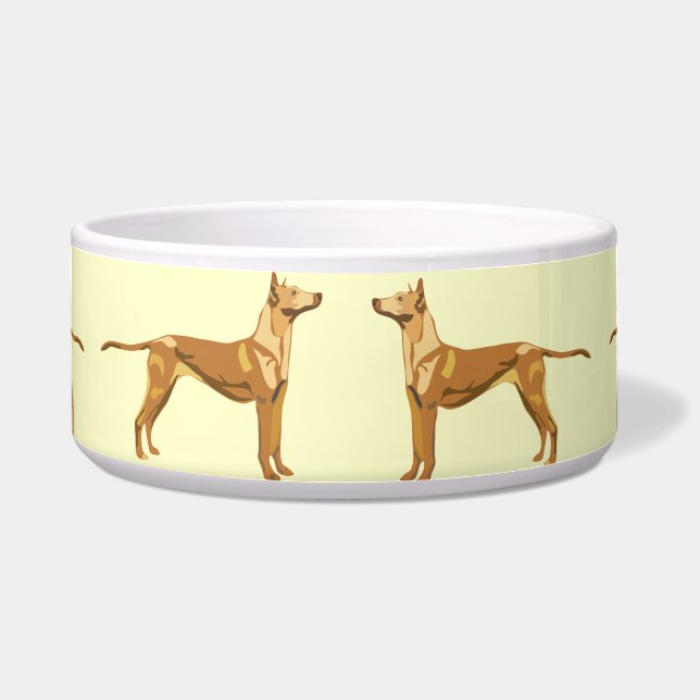 PHARAOH HOUND (Front)