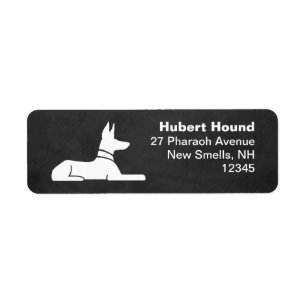 Pharaoh Hound