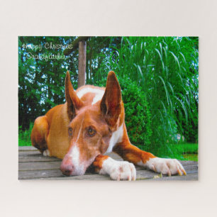 Pharaoh Hound Dog. Jigsaw Puzzle