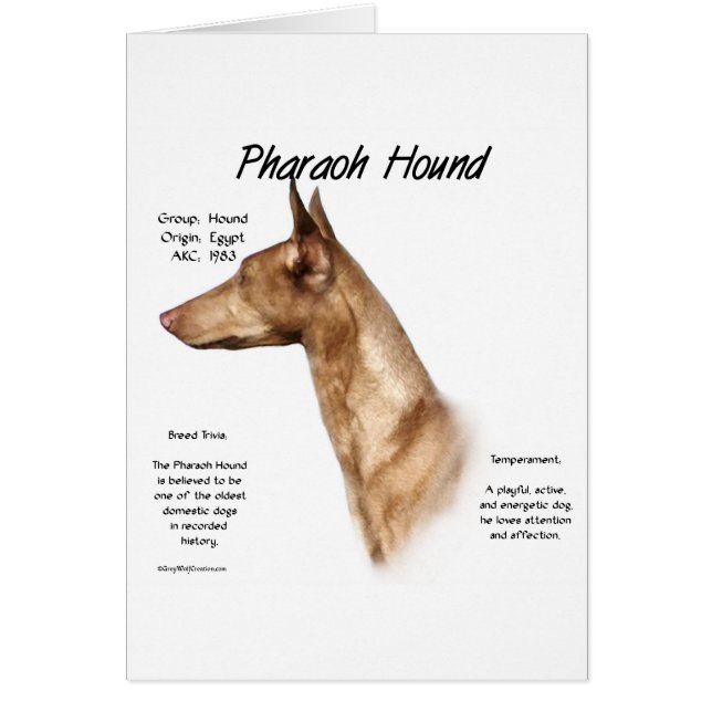 Pharaoh Hound History Design (Front)