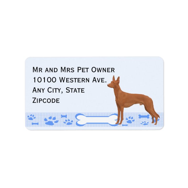 Pharaoh Hound on Blue Gingham Label (Front)