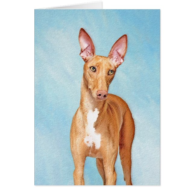 Pharaoh Hound Painting - Cute Original Dog Art (Front)