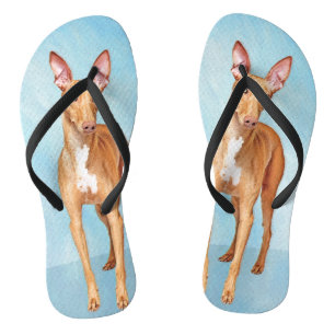 Pharaoh Hound Painting - Cute Original Dog Art Flip Flops