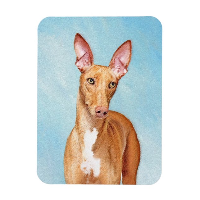 Pharaoh Hound Painting - Cute Original Dog Art Magnet (Vertical)