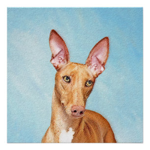 Pharaoh Hound Painting - Cute Original Dog Art Poster