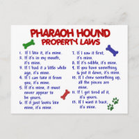 PHARAOH HOUND Property Laws 2