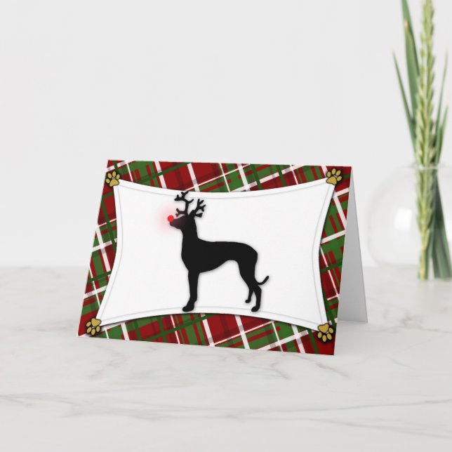 Pharaoh Hound Reindeer Christmas Card (Front)