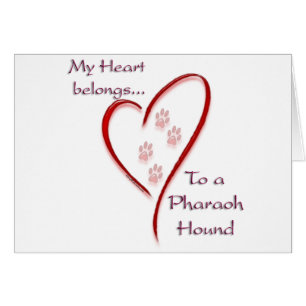 Pharaon Hound Heart Belongs