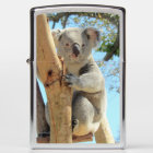 Phare de Koala Zippo