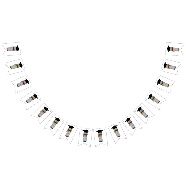 Pharmacist Pharmacy School Graduation Bunting Flags (All)