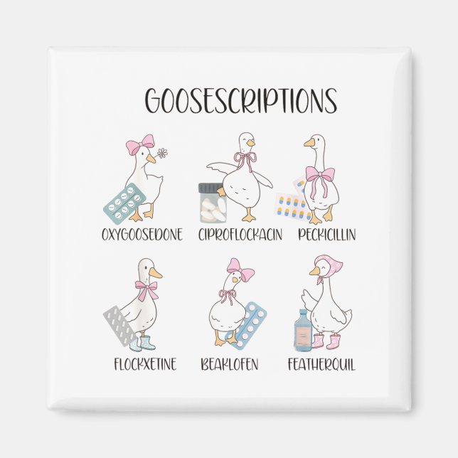 Pharmacy Funny Goose Silly Prescriptions Puns Medi Magnet (Front)