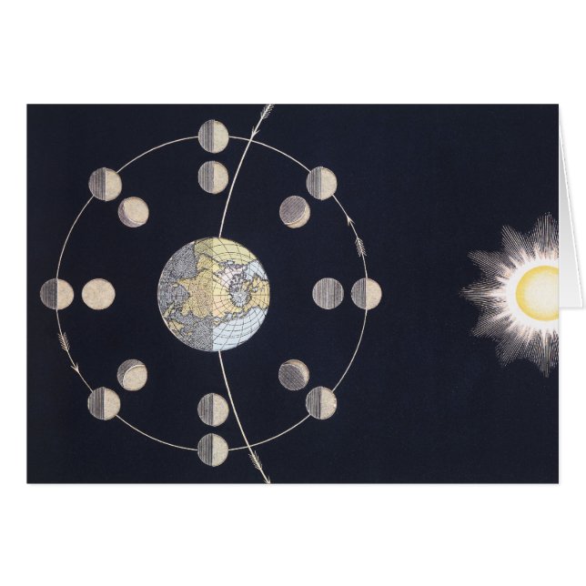 Phases of Moon with Earth & Sun, Vintage Astronomy (Front Horizontal)