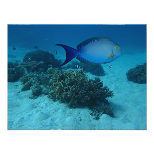 PhD Photo Print (Front)