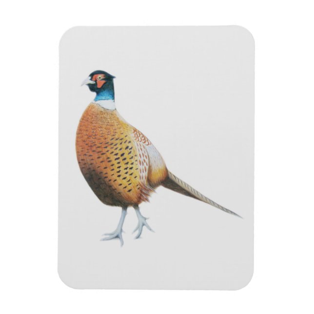 Pheasant 2012 magnet (Vertical)