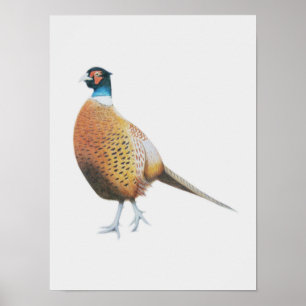 Pheasant 2012 poster