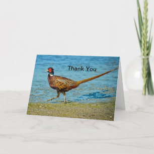 Pheasant 2 Thank You Card