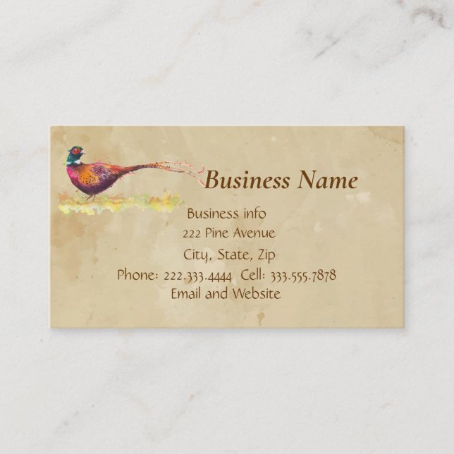 Pheasant, Bird, Nature, Environment, Business Card (Front)