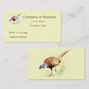 Pheasant, Bird, Nature, Environment, Business Card