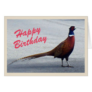 Pheasant Birthday card
