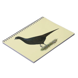 Pheasant Black Hen Notebook