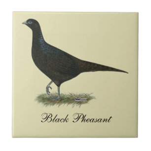 Pheasant Black Hen Tile