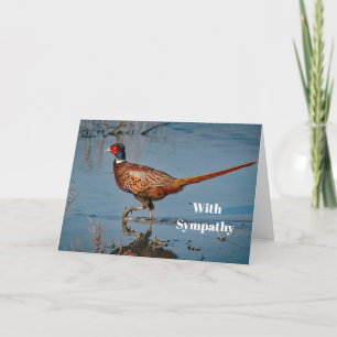 Pheasant Blue Water Photo Sympathy Card
