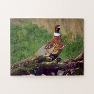 Pheasant by Fallen Tree Wildlife Oversized Jigsaw Puzzle