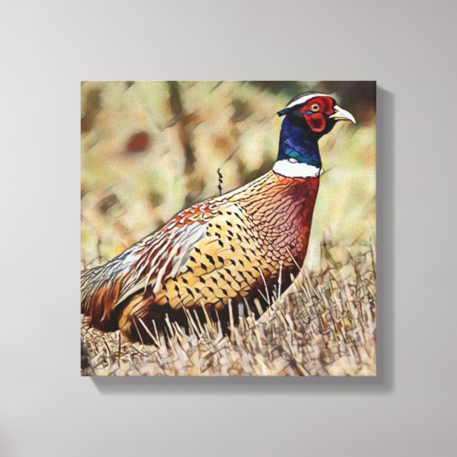Pheasant Canvas Print (Front)