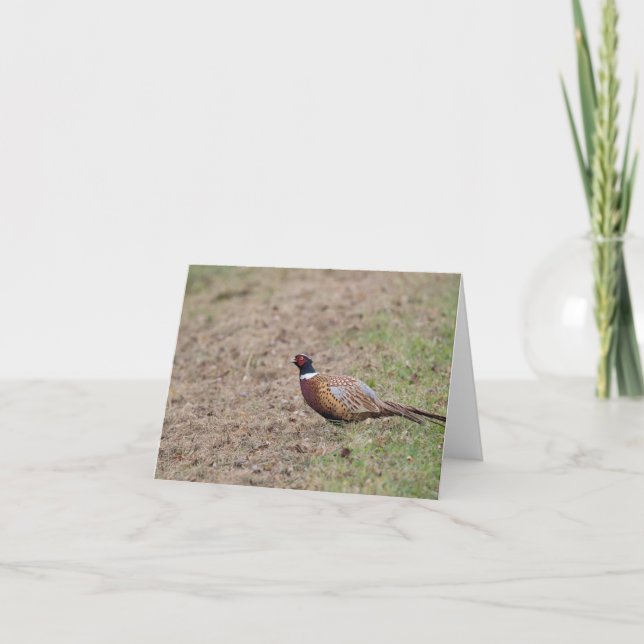 Pheasant Card (Front)