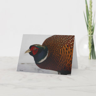 Pheasant Card