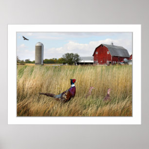 Pheasant Farm Poster