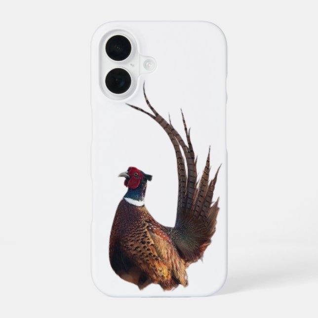 Pheasant feathers iPhone 16 case (Back)