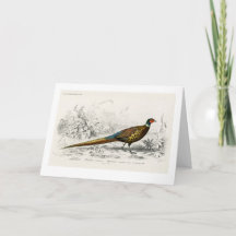 Pheasant for Christmas - Vintage Art -