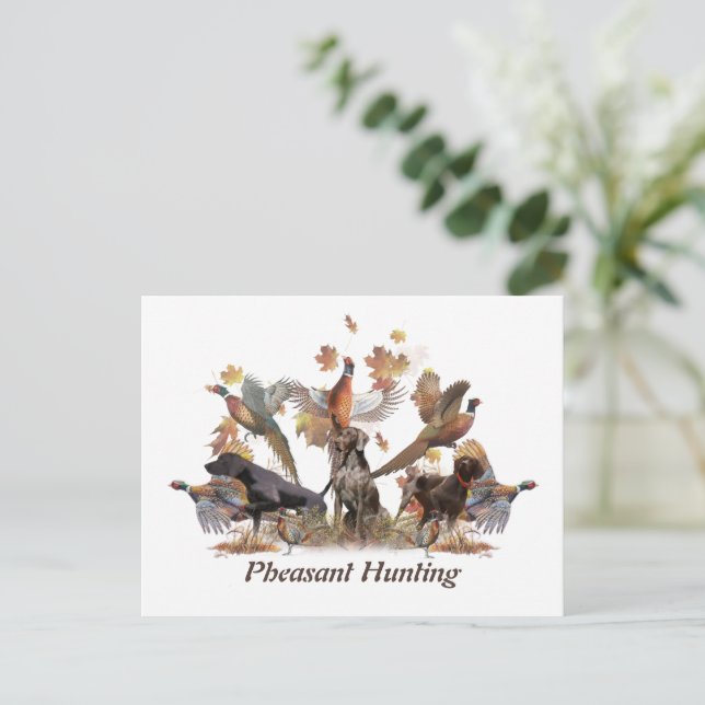 Pheasant Hunting    Postcard (Standing Front)