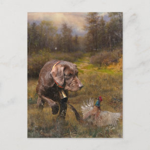 Pheasant Hunting with a Pudelpointers Postcard