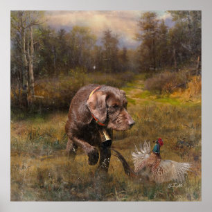Pheasant Hunting with a Pudelpointers Poster