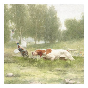 Pheasant Hunting with Pointer Photo Print