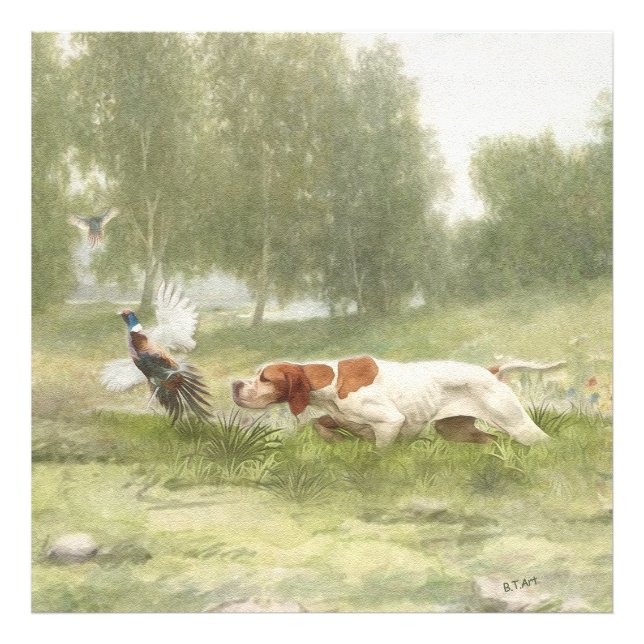 Pheasant Hunting with Pointer    Photo Print (Front)