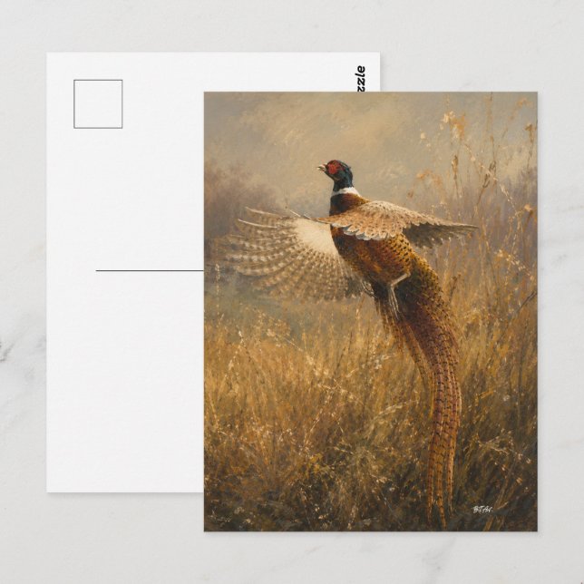 Pheasant in Golden Flight Postcard (Front/Back)