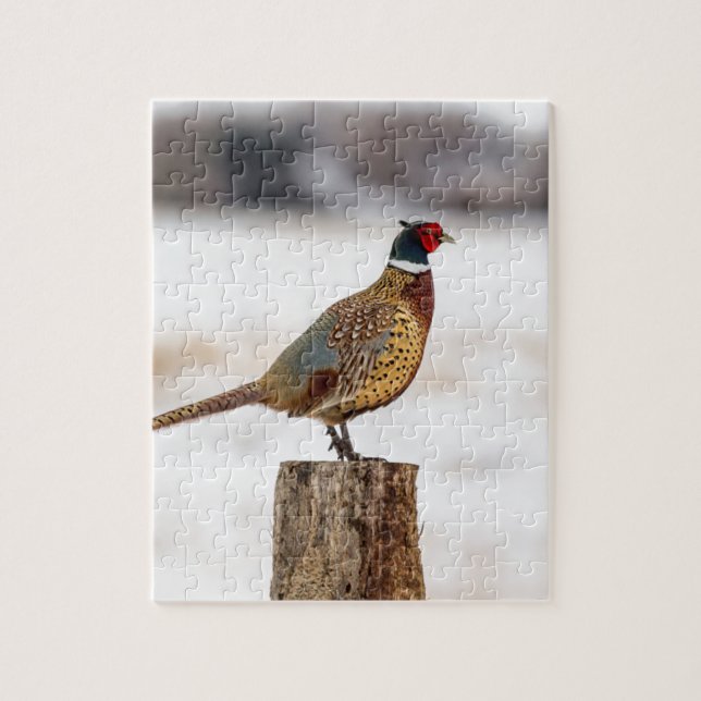 Pheasant Jigsaw Puzzle (Vertical)