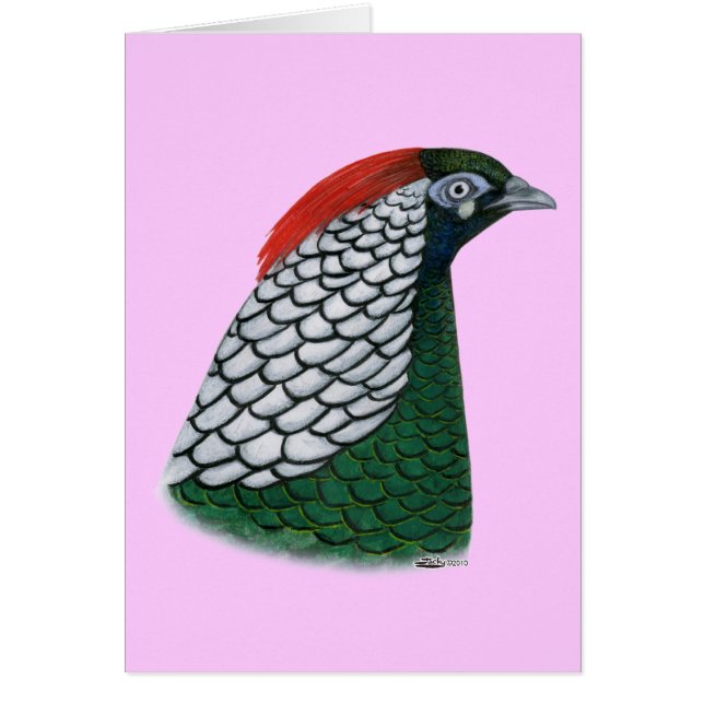 Pheasant:  Lady Amherst Head (Front)