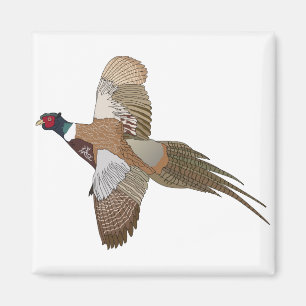 Pheasant Magnet