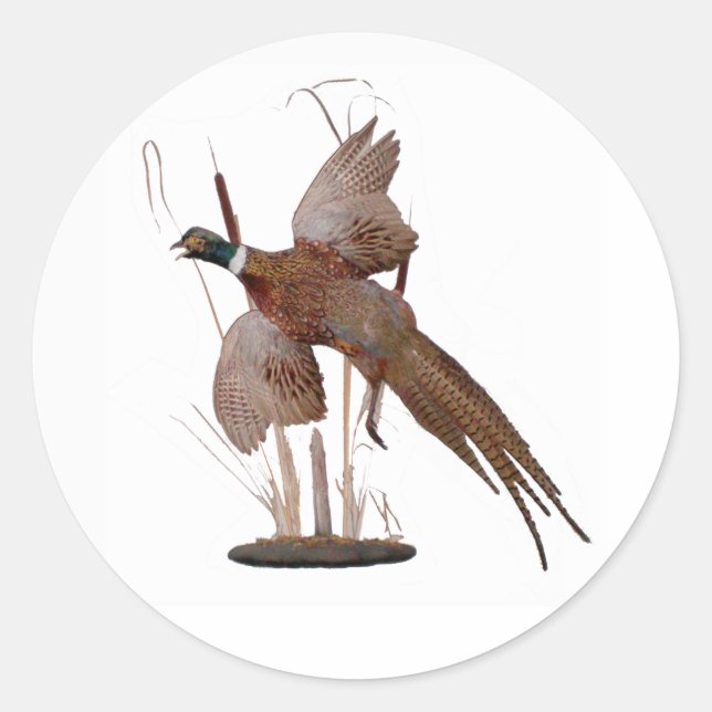 Pheasant Mount Classic Round Sticker (Front)