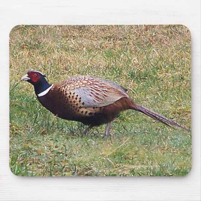 Pheasant Mousepad (Front)