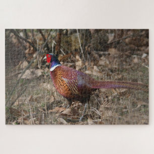Pheasant Moving Through The Forest Jigsaw Puzzle